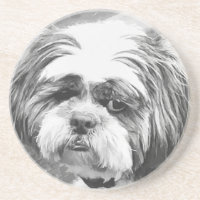 シーズー(犬)の犬