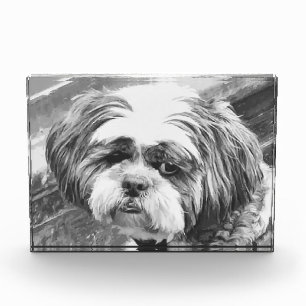 シーズー(犬)の犬 フォトブロック
