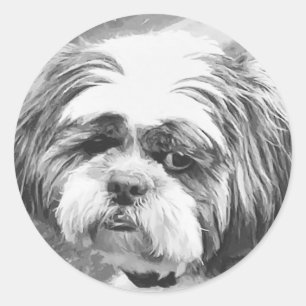 シーズー（犬）の犬 ラウンドシール