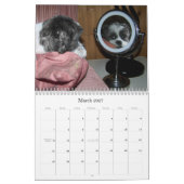 シーズー(犬)のTzuのカレンダー カレンダー (3月 2027)