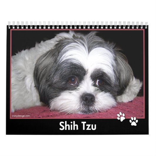 シーズー(犬)のTzuのカレンダー カレンダー (カバー)