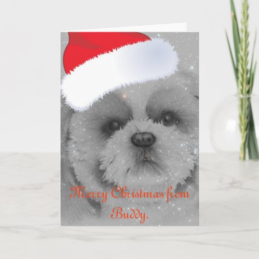 シーズー（犬）のTzuのクリスマスカード シーズンカード (正面)