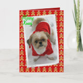 シーズー（犬）のtzuのラサのtzuのかわいいサンタ犬のクリスマスカード シーズンカード (正面)