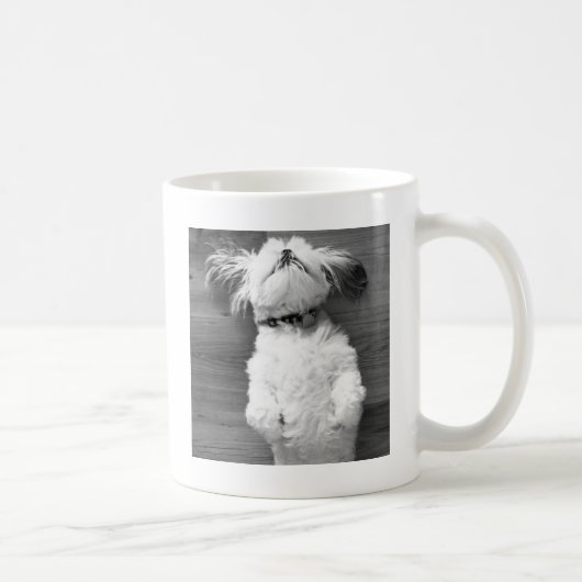 シーズー(犬)のTzuの昼寝 コーヒーマグカップ (右)