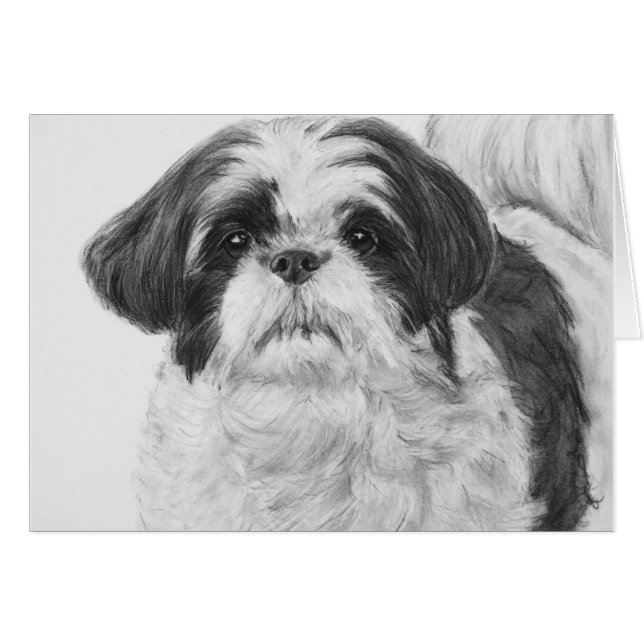 シーズー（犬）のTzuの白黒芸術 (正面横)