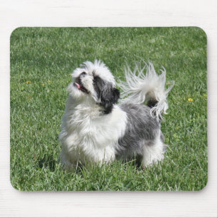 シーズー(犬)のtzuの遊ぶこと マウスパッド