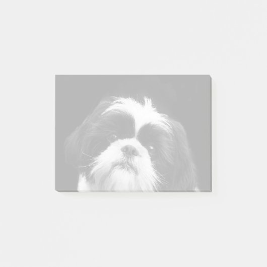 シーズー(犬)のTzu犬のポスト・イット ポストイット (正面)