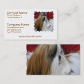 シーズー(犬)のTzu犬の名刺 名刺 (正面/裏面)