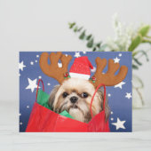 シーズー（犬）のTzu犬は赤いショッピングバッグに (スタンド正面)