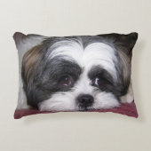 シーズー（犬）のTzu犬 アクセントクッション (正面)