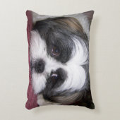 シーズー（犬）のTzu犬 アクセントクッション (正面(垂直))
