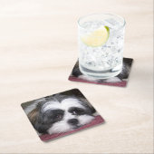 シーズー(犬)のTzu犬 スクエアペーパーコースター (インサイチュ)