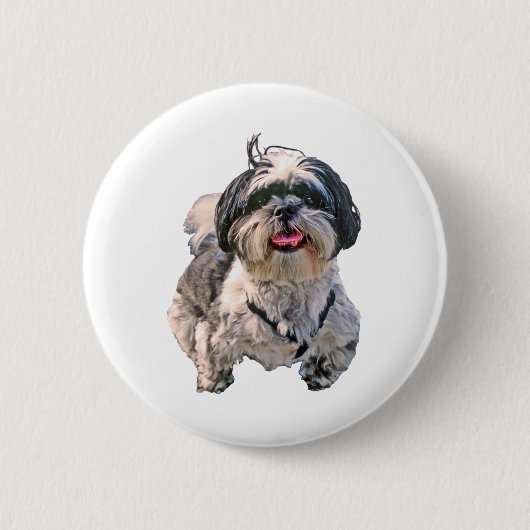 シーズー(犬)のTzu犬 缶バッジ (正面)