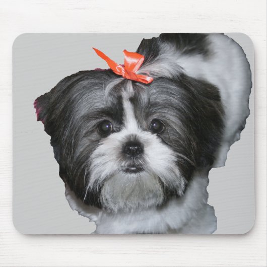 シーズー(犬)のtzu マウスパッド (正面)