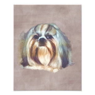 シーズー（犬）のTzu Brindleおよび白い犬 フォトプリント