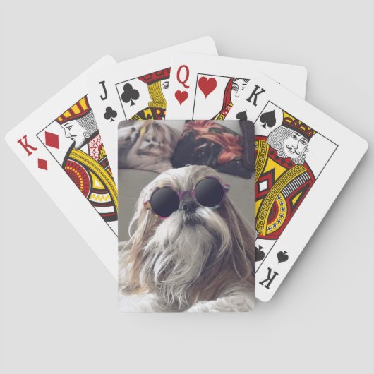 シーズー（犬）クールTzuロングヘアヴィンテージサングラス写真 トランプ (裏面)