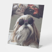 シーズー（犬）クールTzuロングヘアヴィンテージサングラス写真 台座サイン (正面)