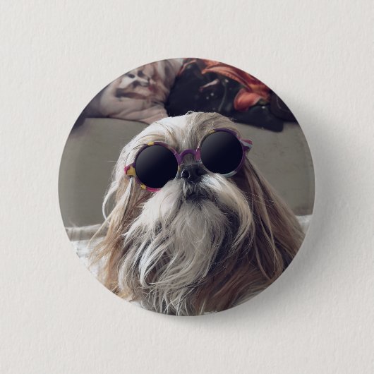 シーズー(犬)クールTzuロングヘアヴィンテージサングラス写真 缶バッジ (正面)