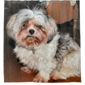 シーズー（犬） シャワーカーテン (正面)