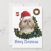 シーズー（犬） シーズンカード (正面)