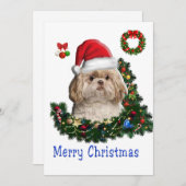 シーズー(犬) シーズンカード (正面/裏面)