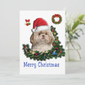 シーズー(犬) シーズンカード (スタンド正面)