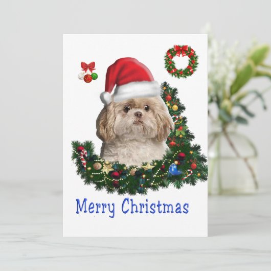 シーズー(犬) シーズンカード (スタンド正面)