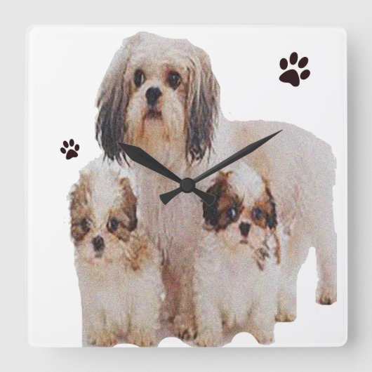 シーズー(犬) スクエア壁時計 (正面)