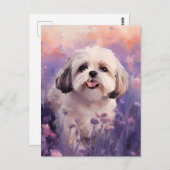 シーズー(犬)ズインラベンダーフィールド ポストカード (正面/裏面)