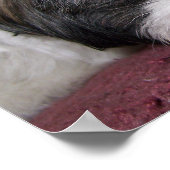 シーズー（犬）ズドッグ ポスター (角)