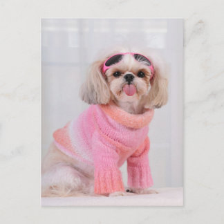 シーズー（犬）ズパピーザラズ ポストカード
