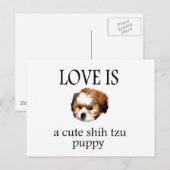 シーズー(犬)ズパピー ポストカード (正面/裏面)