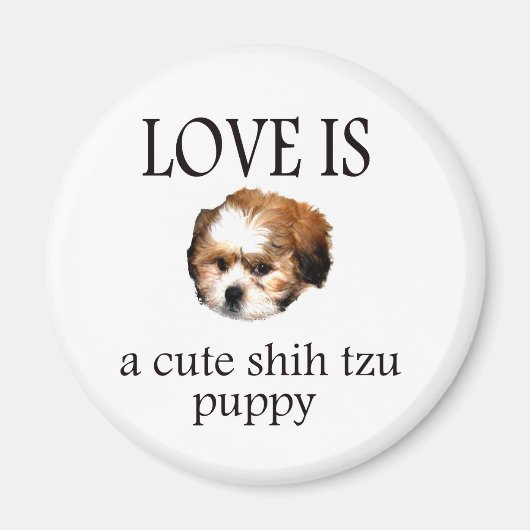 シーズー（犬）ズパピー マグネット (正面)