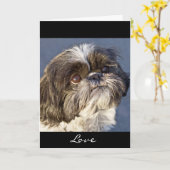 シーズー(犬)ズワンピーグリーティングカード-内部に詩 カード (黄色い花)