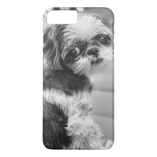 シーズー（犬）チュ女の子iPhone 7プラスケース Case-Mate iPhoneケース (裏面)