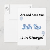 シーズー（犬）チュ電荷 ポストカード (正面/裏面)