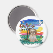 シーズー(犬)チュ・パップ#2 マグネット (正面/裏面)