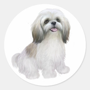 シーズー(犬)ツグ-白、灰褐色 ラウンドシール