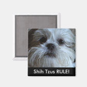 シーズー（犬）ツスルール冷凍機磁石 マグネット (正面/裏面)