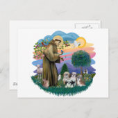 シーズー（犬）ツス(4) ポストカード (正面/裏面)