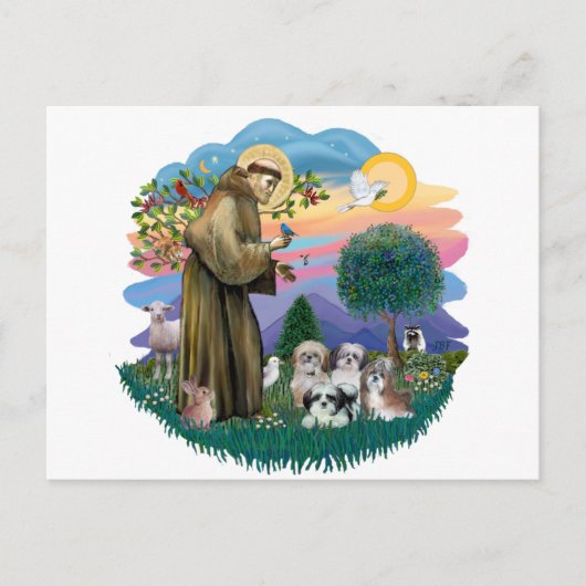 シーズー（犬）ツス(4) ポストカード (正面)