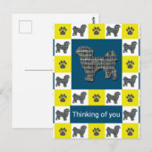 シーズー（犬）ツドッグ&ポーイエロー&ブルー考えズオブユー ポストカード (正面/裏面)