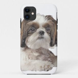 シーズー(犬)ツーかわいさ iPhone 11 ケース