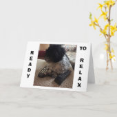 シーズー（犬）・ツーが「40」と言うので、リラックス誕生日 カード (黄色い花)