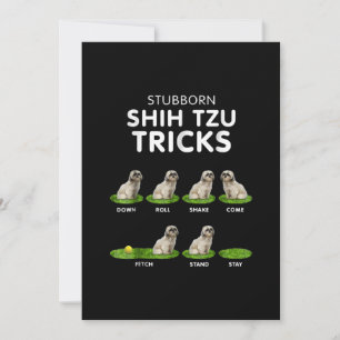 シーズー(犬)ツーラー おもしろいシーズー(犬)Tzu Trick Dog Love サンキューカード