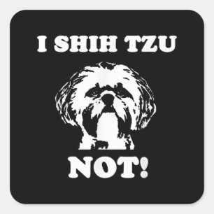 シーズー(犬)ツーラー Iシーズー(犬)ツーノットおもしろい犬 スクエアシール
