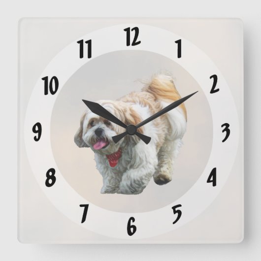 シーズー（犬）ツ歩く スクエア壁時計 (正面)