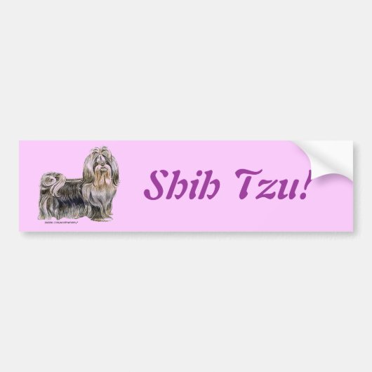 シーズー（犬） バンパーステッカー (正面)