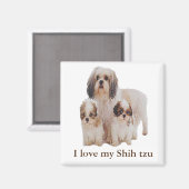 シーズー(犬) マグネット (正面/裏面)
