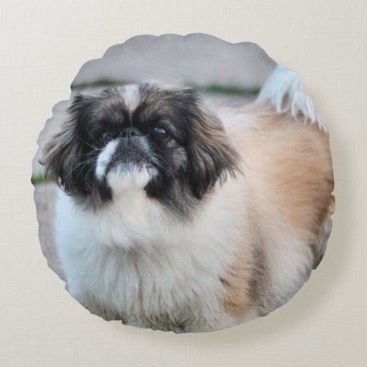 シーズー（犬） ラウンドクッション (正面)
